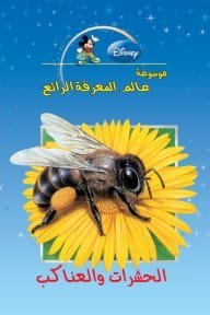 الحشرات والعناكب