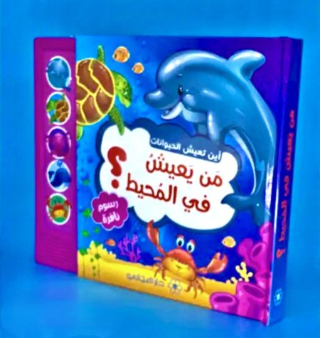 أين تعيش الحيوانات – من يعيش في المحيط
