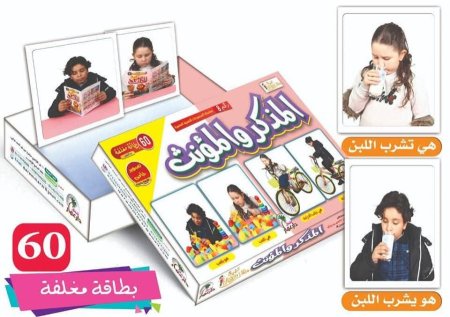 المذكر والمؤنث المجموعة رقم 8 من سلسلة المجموعات الضمنية المتميزة