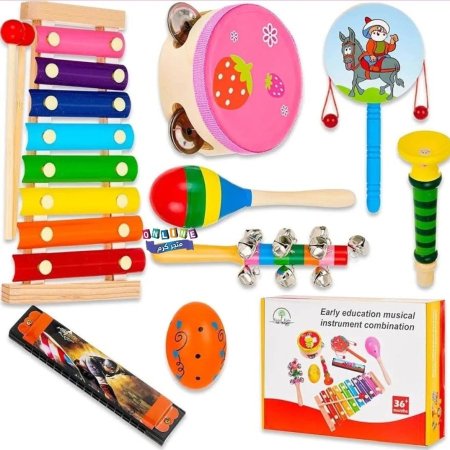 Early education musical instrument combination