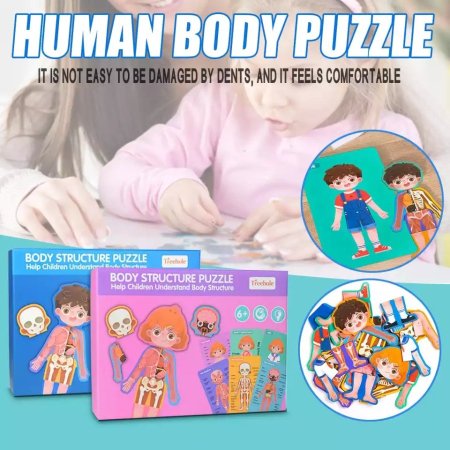 Human Body Puzzle